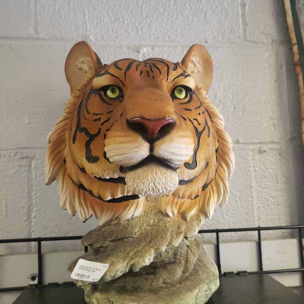 Bengal Tiger