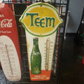 TEEM THERMOMETER