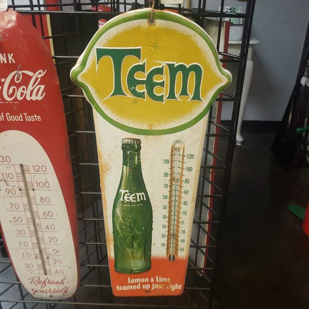 TEEM THERMOMETER